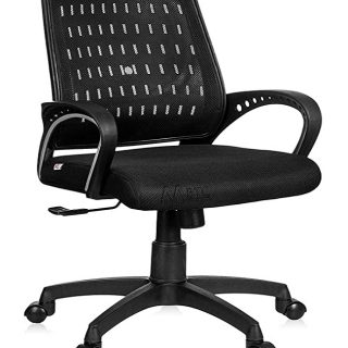 Alaska Office Revolving Desk Chair